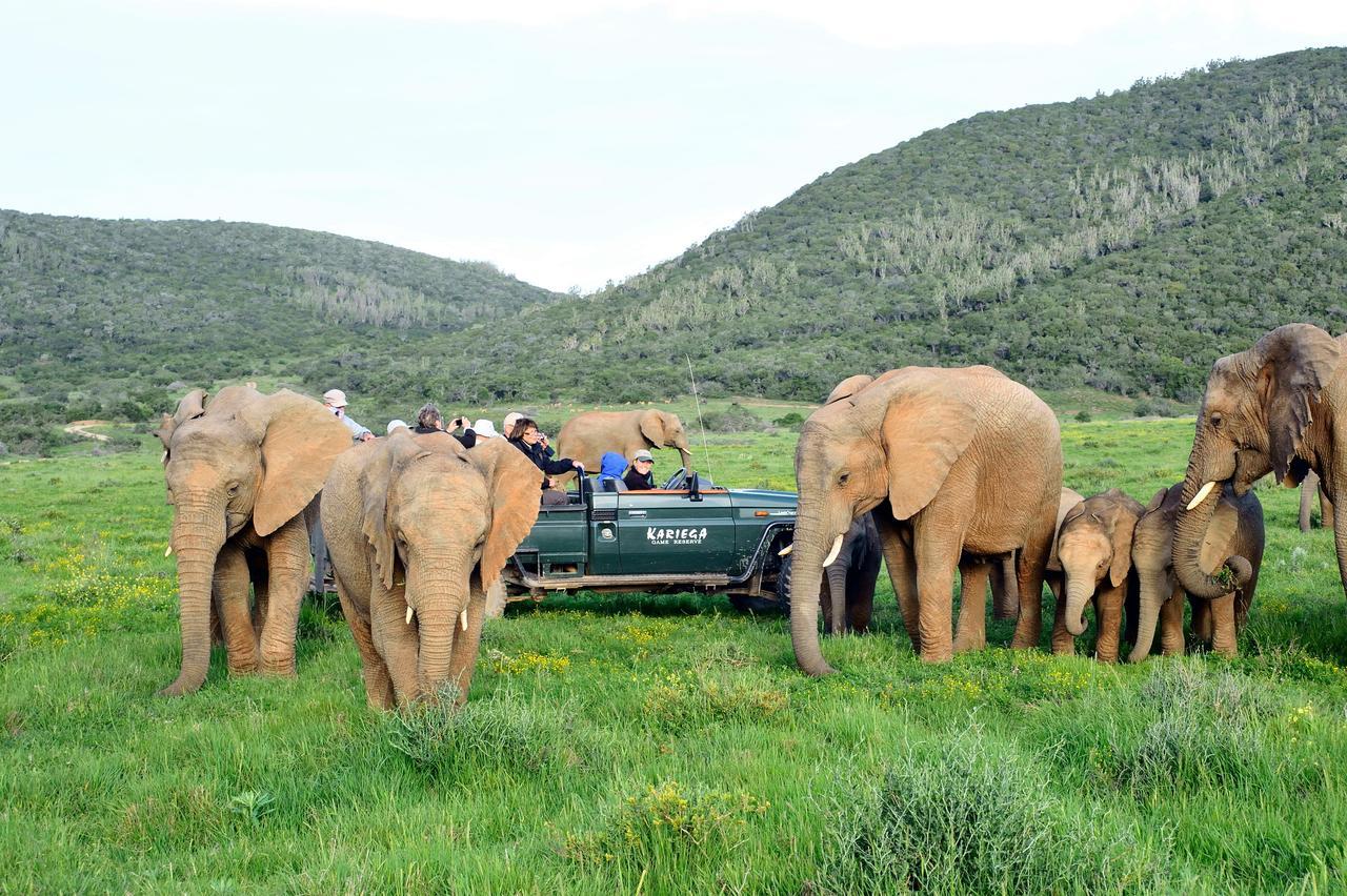 Kariega Game Reserve Ukhozi Lodge Kenton on Sea Ngoại thất bức ảnh